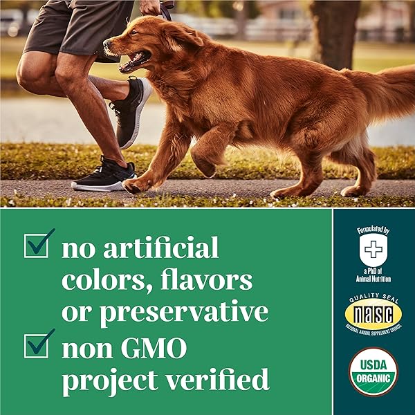 EVERROOT DOG SUPPLEMENTS POWERED BY PURINA IMMUNITY CHEWABLE TABLET WITH SPIRULINA AND ANTIOXIDANTS – 3.6 OZ. CANISTER