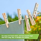 Smith’s 2015 Strong Wooden Hardwood Clothes Pegs 32 Pack Fits Any Clothesline view 3