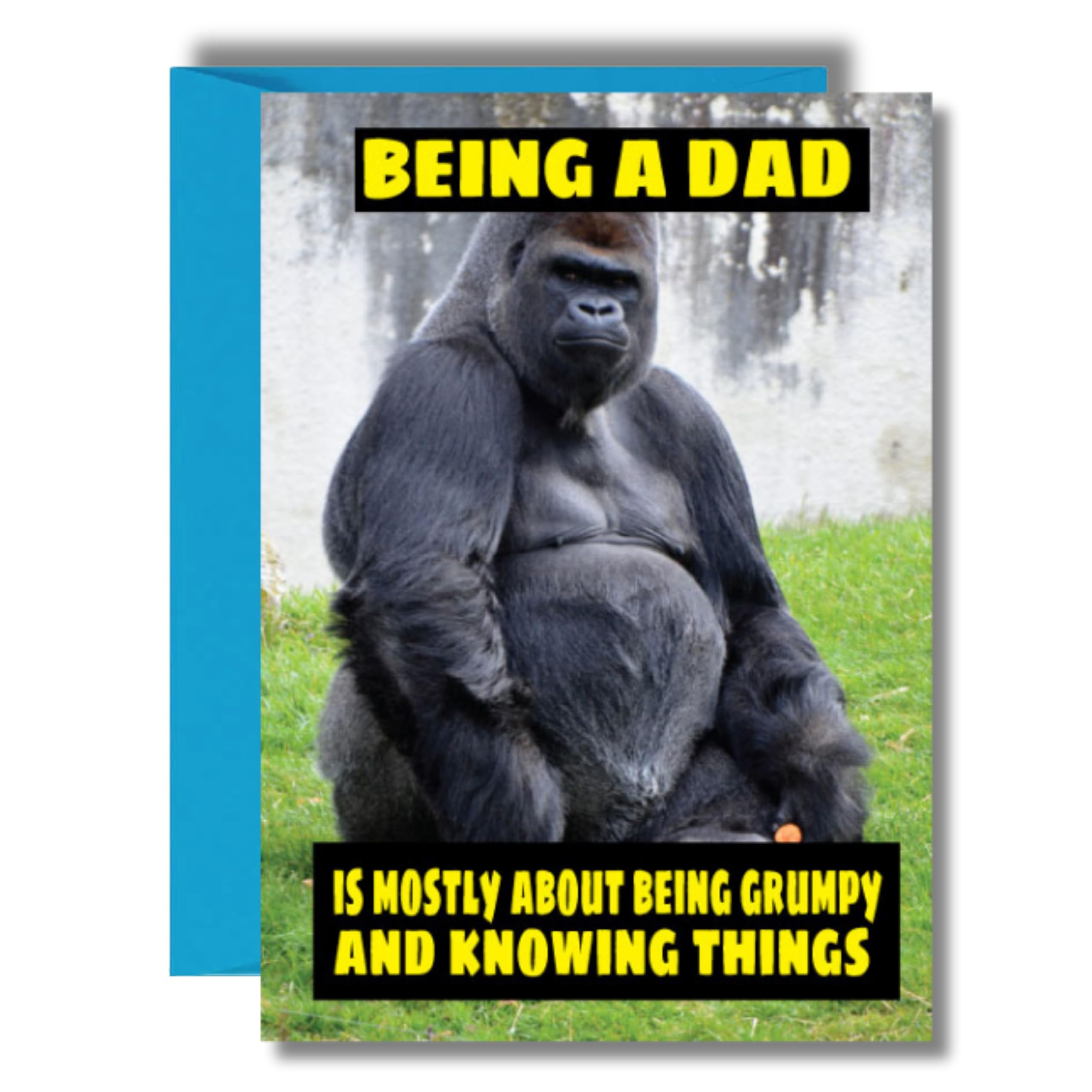Funny Father's Day Card For Dad Daddy Stepdad For Him Birthday Card - Grumpy and Knowing Things F15