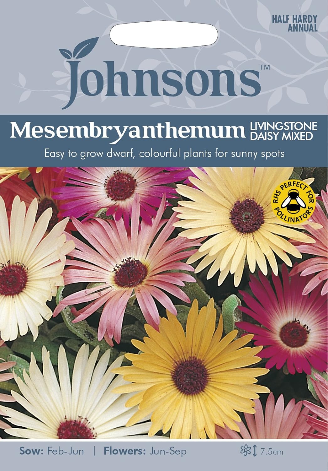 Johnsons 16764 Flower Seeds, Mesembryanthemum Livingstone Daisy Mixed