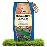 X-Seed Bluegrass Lawn Seed Blend with 4Most Seed Enhancement by DLF - Fast-Growing, Drought-Tolerant, Cool-Season Grass Seed for Thick, Green Lawns, 3 lbs. Covers up to 4,900 sq. feet, 99.9% Weed Free