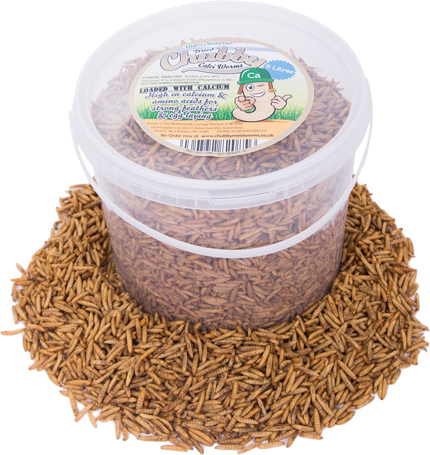 Chubby Mealworms Dried Calci Worms for Hedgehog (5 Litre), Calciworms Treats with More Calcium than Meal Worms
