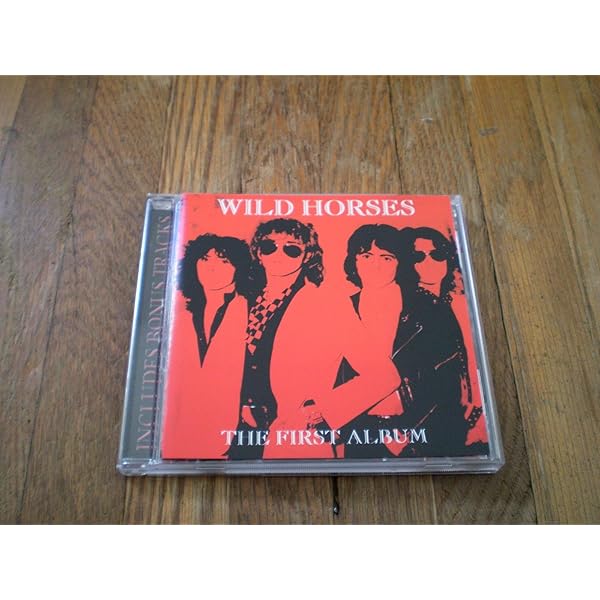 WILD HORSES - Stand Your Ground - Amazon.com Music