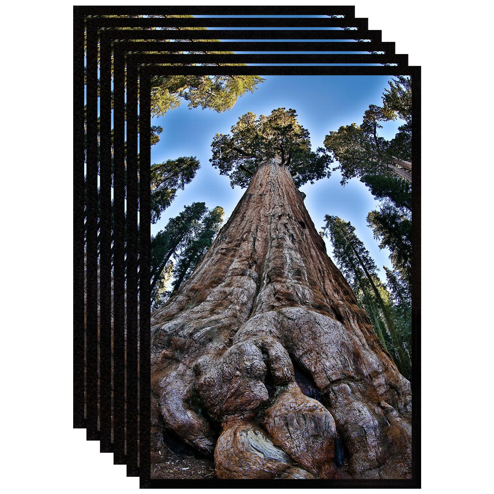Photo 1 of YYTRABAJO 11x17 Picture Frame Black Photo Frames Display for Wall, Set of 6