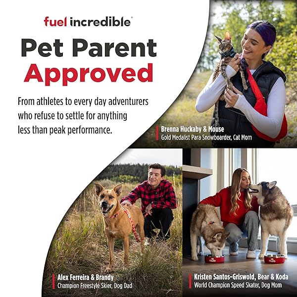 NULO FREESTYLE ADULT DRY DOG FOOD – TURKEY & SWEET POTATO, PREMIUM GRAIN FREE DOG FOOD WITH PROBIOTICS FOR HEALTHY GUT, SKIN AND COAT, NATURAL HIGH PROTEIN KIBBLE FOR SMALL, MEDIUM, LARGE BREEDS, 6LB