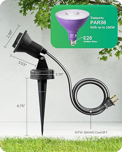 Anatomical Skull EDISHINE Outdoor Spotlights - 2 Pack Waterproof