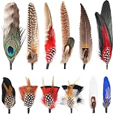 FeelfunFeather Hat Natural Peacock Feathers - 12PCS Colorful Real Feathers for DIY Fedora, Cowboy, Christmas Party, Oktoberfest, Trilby Hats