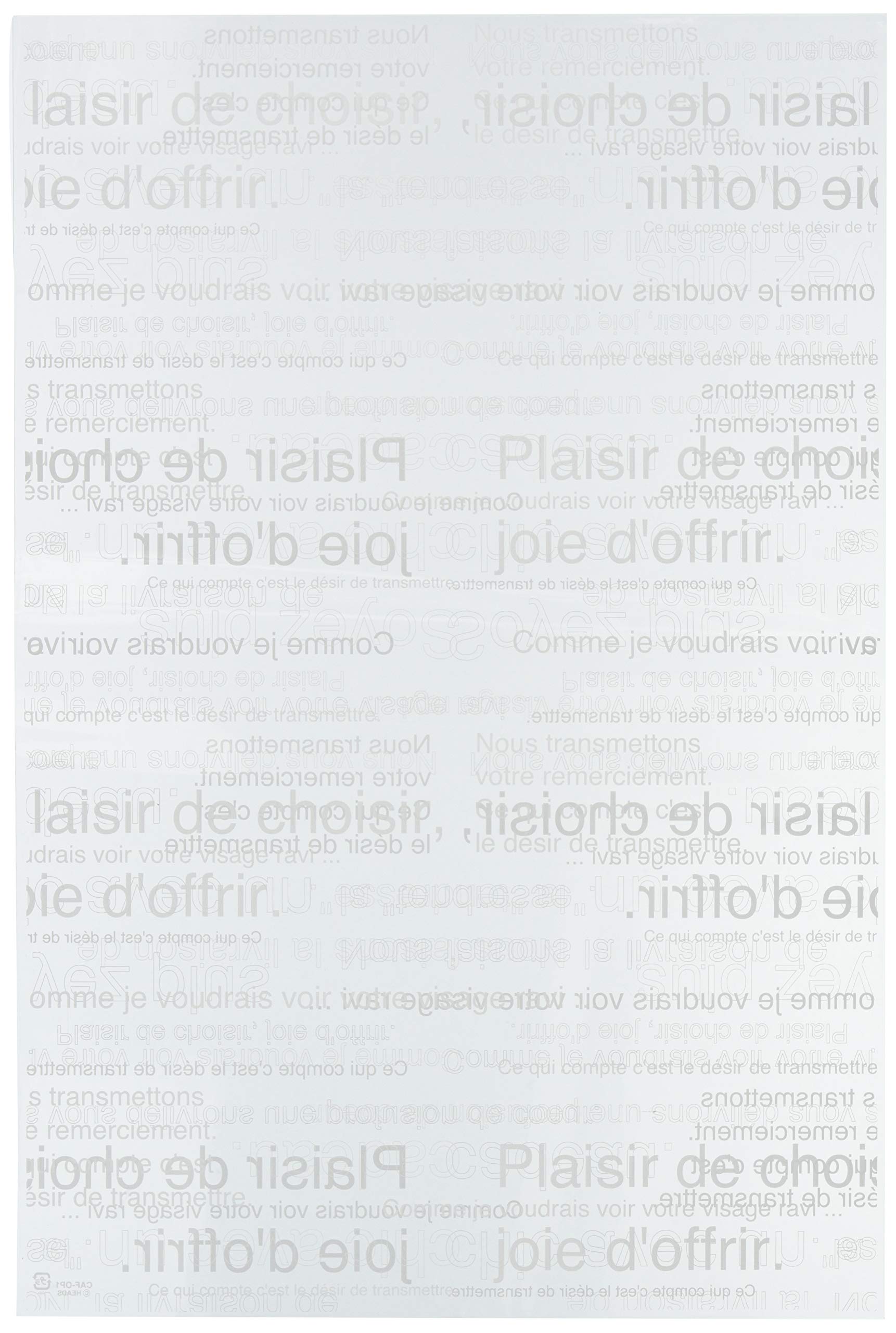 ヘッズ(Heads) 日本製 ラッピングバッグ OPP袋 カフェオレ 半透明 W300×H450mm LL 両面同デザイン 50枚 HEADS CAF-OP1商品画像