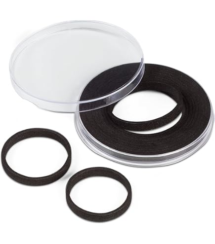 Leuchtturm Petit Médaillier SMART, 12 compartiments carrés jusqu'à 50 mm Leuchtturm Petit Médaillier SMART, 12 compartiments carrés jusqu'à 50 mm