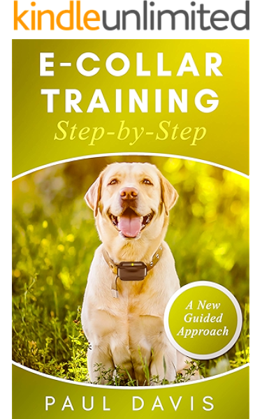 E collar training techniques clearance