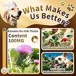 (2 Pack) Poppaw Milk Thistle for Dogs – 9-in-1