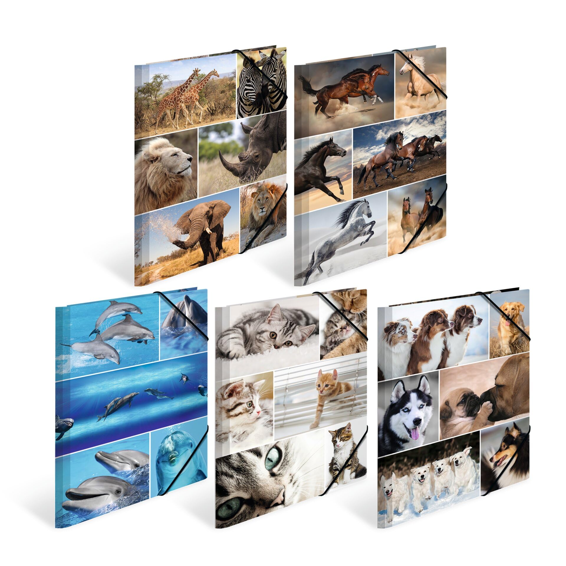HERMA Elastic Folder Animals, Assorted Colourful Designs, A4, Sturdy Cardboard, with Inner Print, Pack of 10