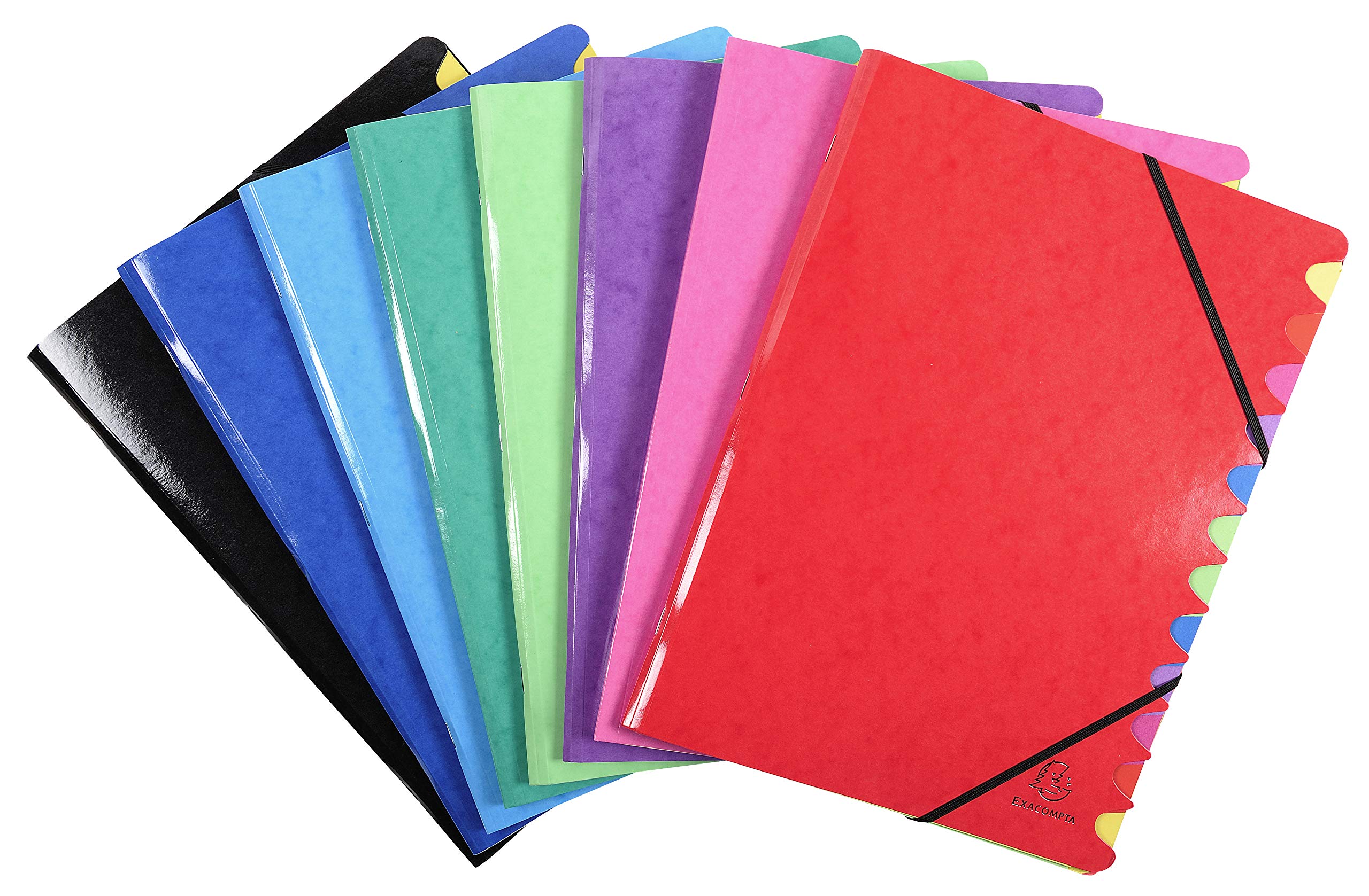 Exacompta - Ref 541229E - Iderama Collection - Stapled Spine Multipart File - 245 x 320mm in Size, Suitable for A4 Documents, 12 Tabbed Sections, Premium Pressboard