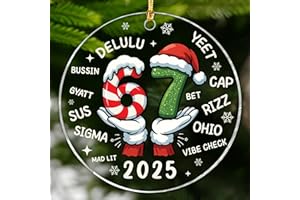 HANGWOOUS 67 Ornament, Six Seven Teen Slang Ornaments 2025, 6 7 Chrismas Ornament, 67 Meme Funny, Teen Girls Trendy Stuff, Tween Stocking Stuffer, Funny Christmas Ornaments, 67 Gifts