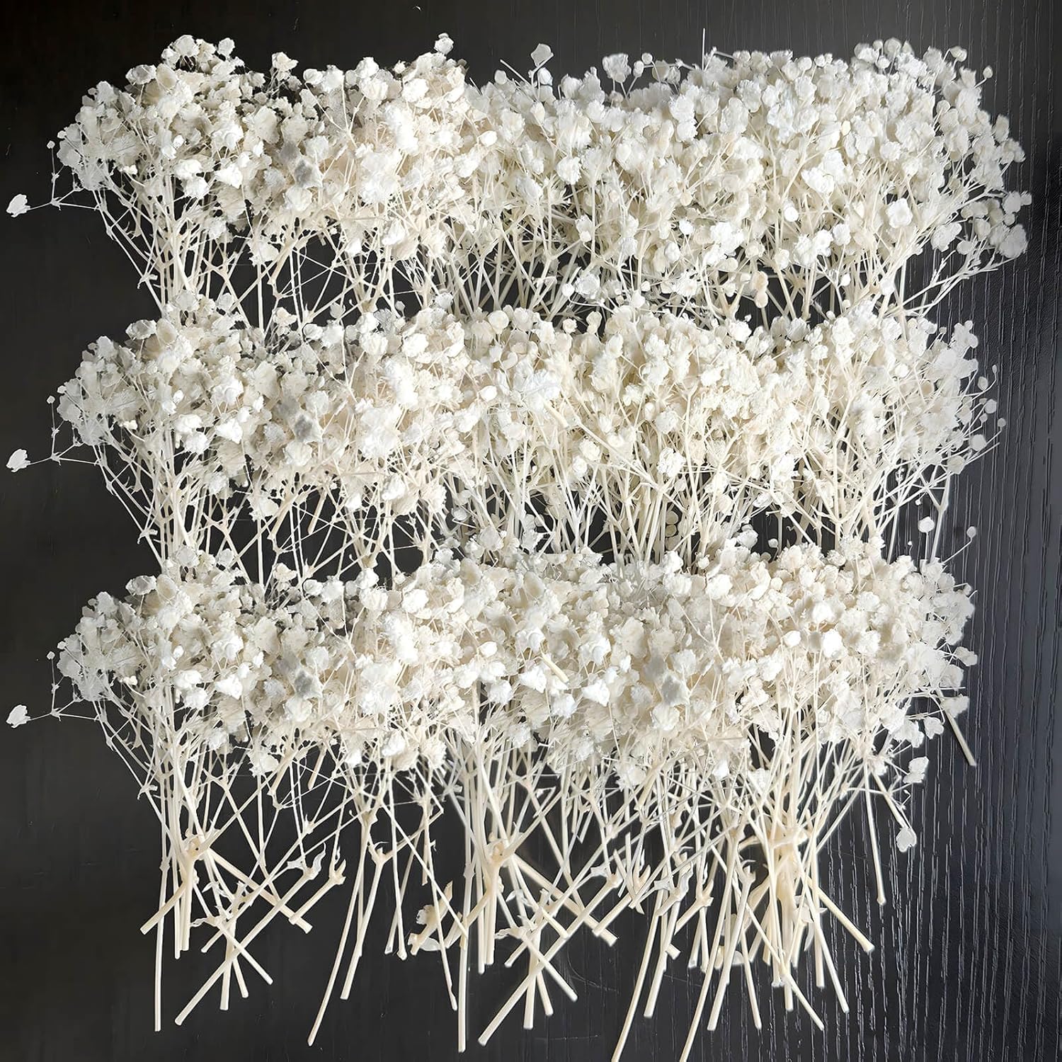 Dried & Preserved Flora - 50 PCS White Pressed Dried Baby's Breath Flowers Bulk - 100% Natural 5'' Flat Real Dry Mini Gypsophila Flower Branches for Wedding, Hair Accessory, DIY Floral Resin Art, Home Party Decor