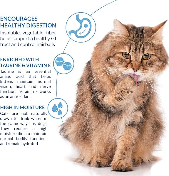 INABA CHURU FOR CATS, FUNCTIONAL, CREAMY LICKABLE PURÉE CAT TREAT FOR HAIRBALL CONTROL WITH TAURINE & VITAMIN E, 0.5 OUNCES EACH, 4 TUBES (1 PACK), TUNA RECIPE