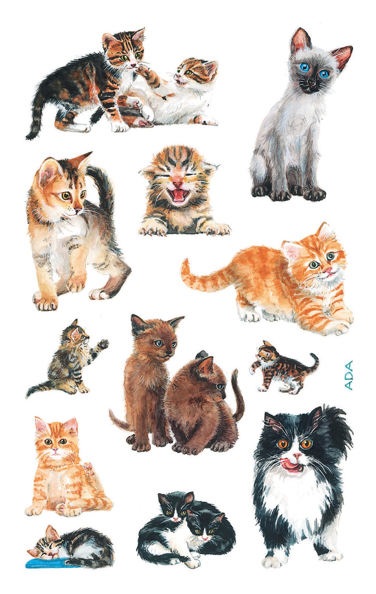 Avery Zweckform Creative Paper Sticker 76 x 120 3Bögen Katzenbabies Design