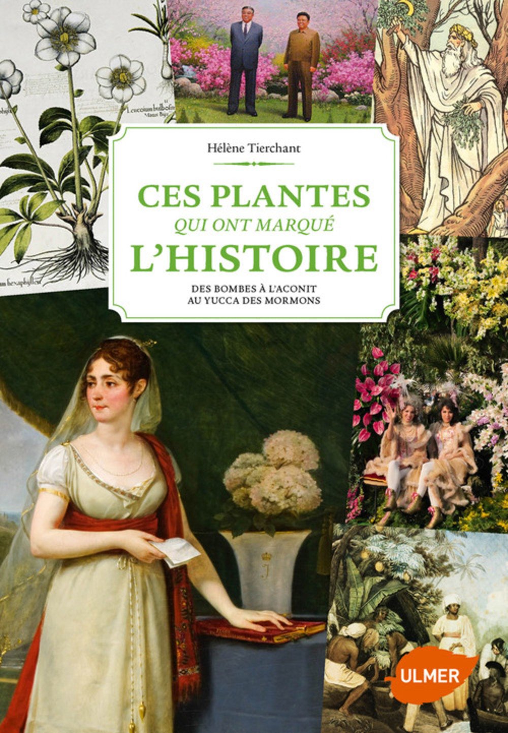 Ces Plantes Qui Ont Marqué Lhistoire Amazonfr Helene - 