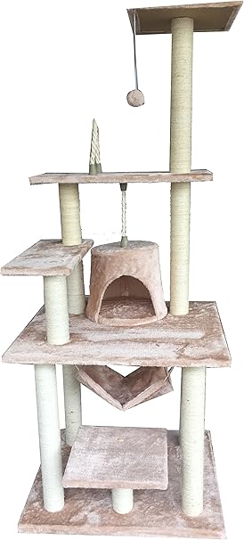 signs your dog is going into heat for the first time