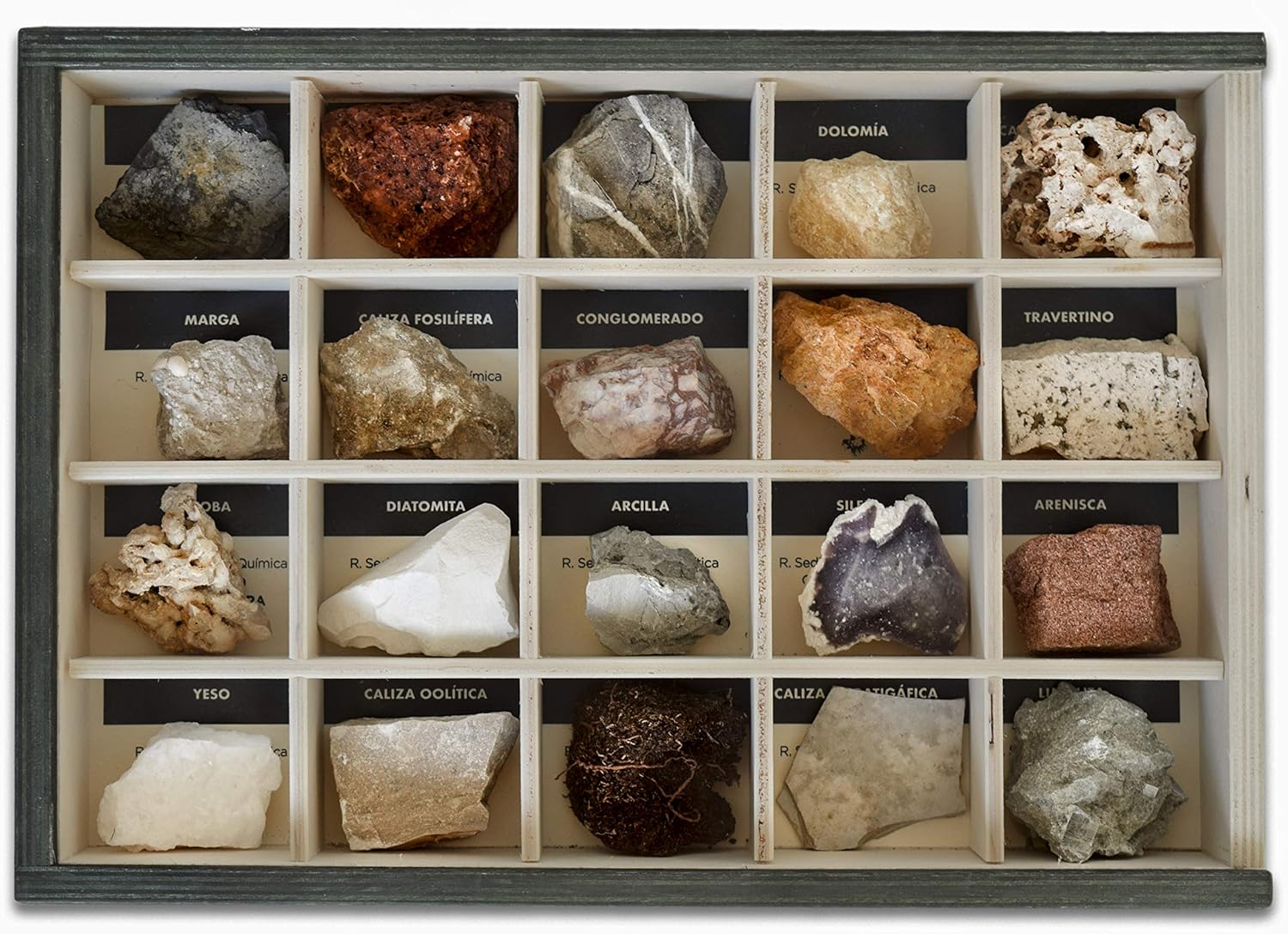 MINERALES Y FOSILES NANO Colección de 20 Rocas Sedimentarias ...