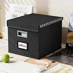 Huolewa Upgraded Portable File Organizer Box, Large