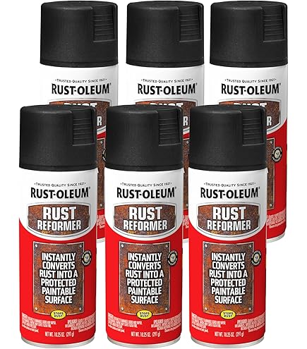 Amazon.com: Rust-Oleum 252462 Automotive Enamel Spray Paint, 12 oz