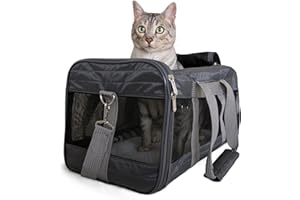 Sherpa Pet Carrier Airline Approved with Spring Wire Frame - Cat & Dog Carrier for In-Cabin Travel, Mesh Ventilation, Locking Zippers - Charcoal Grey, Large