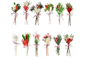 WGXX 10/12/24/36 Pack Mini Dried Flowers for Vase Wedding Various Mini Bouquet Dried Small Wildflowers Natural Flowers Bulk for Crafts DIY Decor (12, Christmas Color)