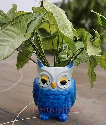 Homesutraa Resin Owl Showpiece Planter Pot Flowerpot Pen Pencil Stand-Living Room Balcony Office Desk Indoor Garden Decor (5inch Blue 13.5X10X10.5 cm)