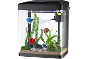 PONDON 2-Gallon Betta Fish Tank, Glass Aquarium with Filter & LED Light, Desktop Tank for Bettas, Shrimp, Goldfish (Black)