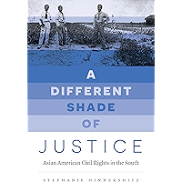 A Different Shade of Justice: Asian American Civil Rights in the South (Justice, Power, and Politics) book cover