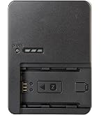 Amazon.com: BC-QZ1 Battery Quick Charger for Sony NP-FZ100 Battery