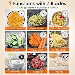 Davivy 16 Cup Food Processor & Blender Combo
