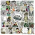 63Pcs Money Stickers Pack, Fashion Graffiti Vinyl Waterproof Decals for Water Bottle,Laptop,Phone,Skateboard,Scrapbooking,Journaling for Teens Kids Adults for Birthday Supplies Favor Decor