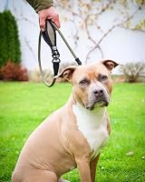 BullyBillows Anti-Tangle Anti-Pull Dog Lead 1.2m Black view 5