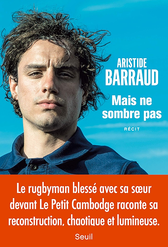 Download Mais ne sombre pas (DOCUMENTS (H.C)) PDF