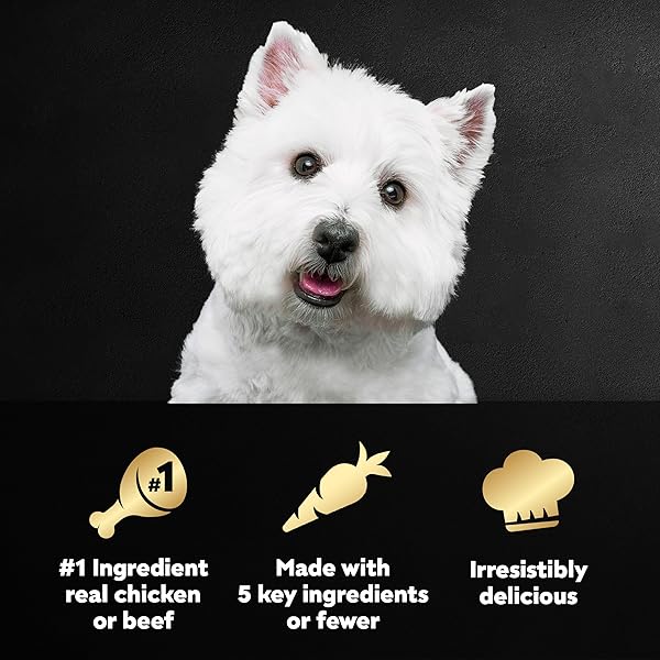CESAR SIMPLY CRAFTED ADULT WET DOG FOOD MEAL TOPPER, CHICKEN, CARROTS & GREEN BEANS AND BEEF, CHICKEN, PURPLE POTATOES, PEAS & CARROTS VARIETY PACK, 1.3 OZ. (16 COUNT, PACK OF 1)