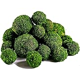 BYHER Moss Balls, 18 PCS Decorative Balls for Centerpiece Bowls - 6pcs 3.2" Natural Dried Balls+ 12pcs 2" Green Moss Balls Va
