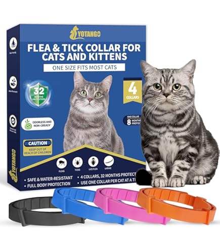 Best Natural Flea Collar For Cats BUDOCI Pack Small Cat Flea