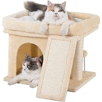 Amazon.com : Aechonow Small Cat Tree Tower for Large Cat, Cat Bed ...