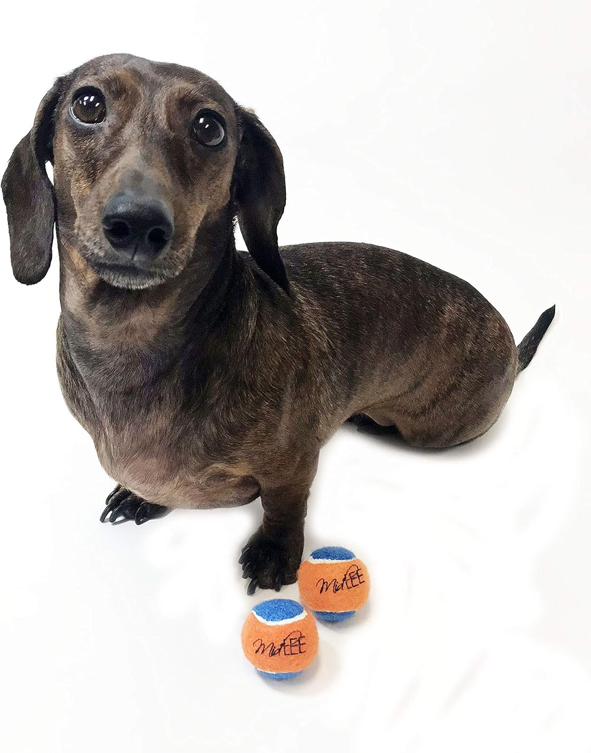 mini squeaky tennis balls