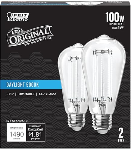 Feit Electric ST19 Vintage Edison LED Light Bulb, 60W Equivalent