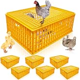 4 Pcs Poultry Carrier Crate Plastic Heavy Duty Chicken Transport Cage | 29.5 x 21.7 x 11.6 in Plastic Chicken Crate Box, Bird Carriers Portable Livestock Travel Basket for 10&ndash;13 Adult Chickens