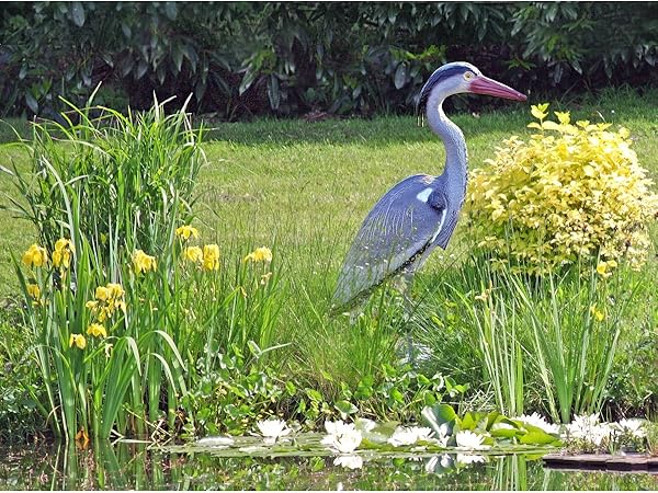 Etain Figurine Heron Cinerino 72 Cm Sculpture Figurine Decoration Jardin Oiseaux Amazon Fr Cuisine Maison