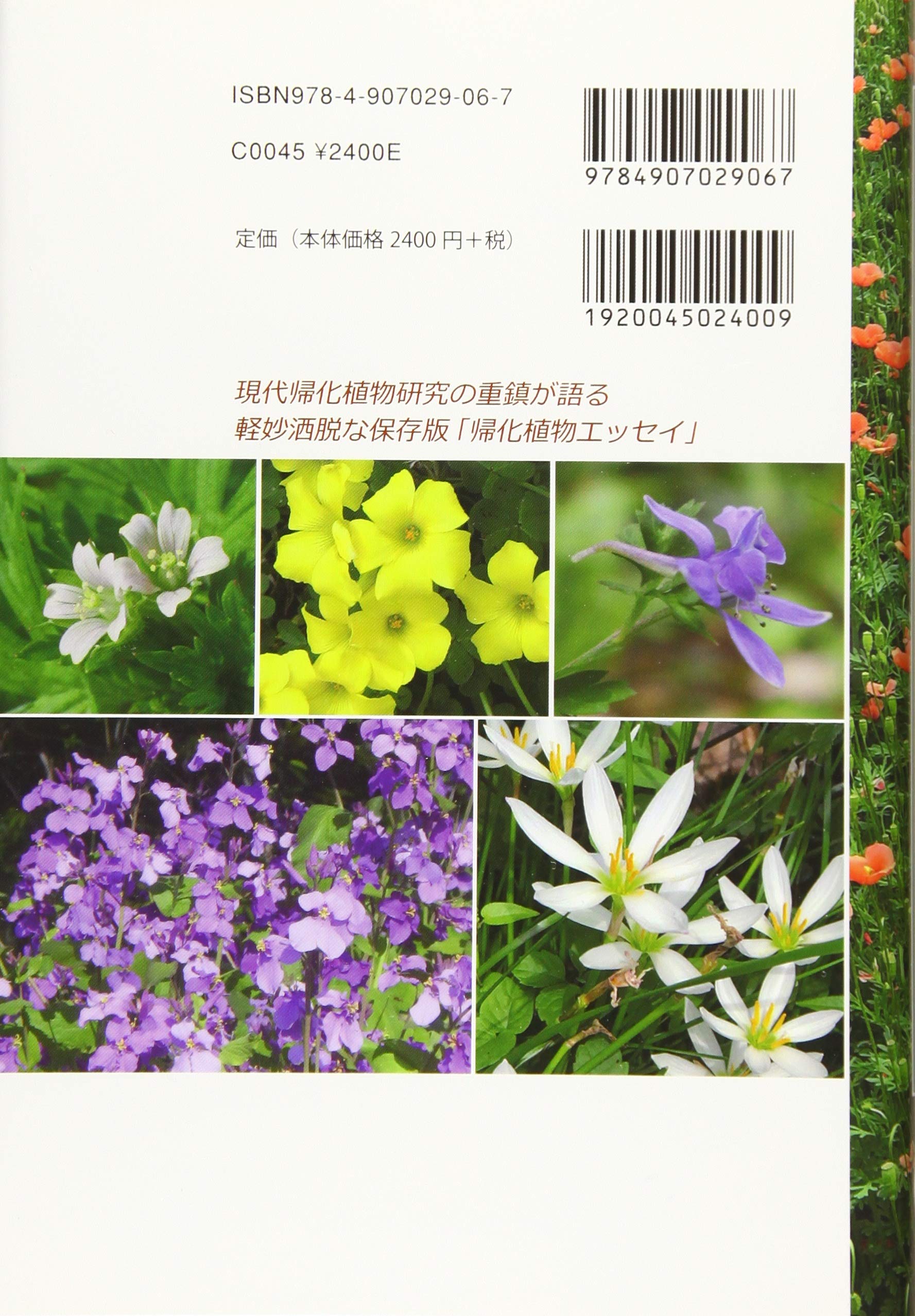 エイリアン植物記 帰化植物の素顔と来歴 Amazon Com Books