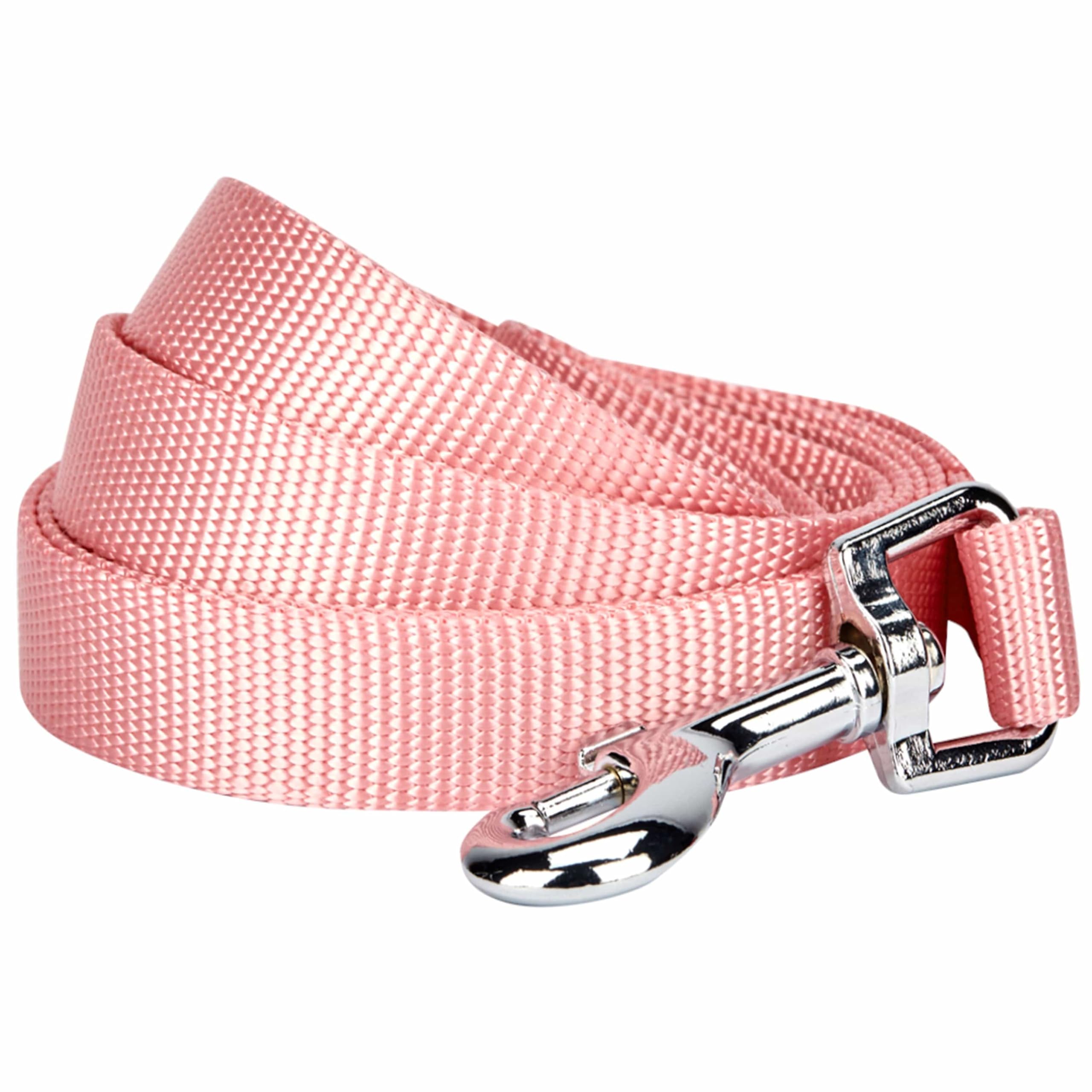 Blueberry Pet Durable Classic Solid Color Dog Lead 120 cm x 2.5cm in Baby Pink, Large, Basic Nylon Leads for Dogs, Matching Collar & Harness Available Separately