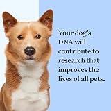 Wisdom Panel Breed Discovery Dog DNA Test Kit – MDR1, Ancestry, Relatives view 7