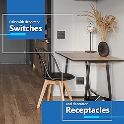 LIDER Brushed Finish Decorator Switch