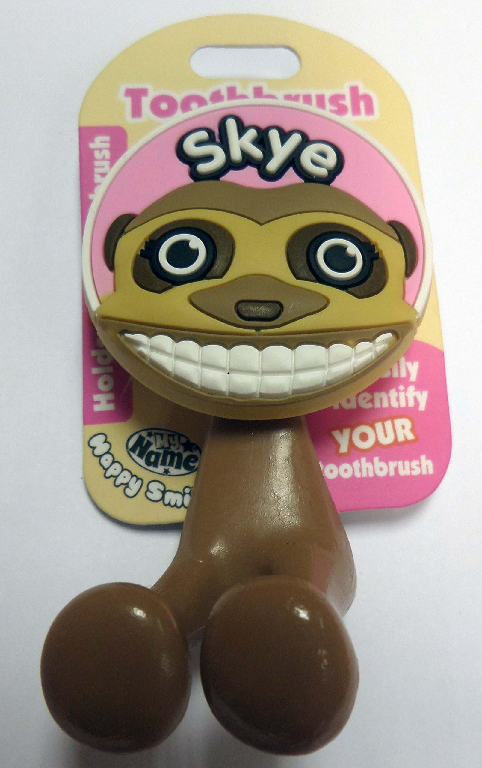 Toothbrush Holder ~ Kids/Children/Family ~ Names Starting with 'S' (Skye)