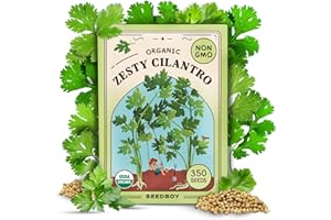 Seedboy Organic Cilantro 'Slow Bolt' Seeds for Planting Indoor and Outdoor, Non-GMO and USDA Certified Herb Seed Packet for Hydroponic Garden Indoor or Planting Outdoors (Cilantro)